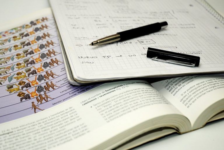 student, biology, notes-732012.jpg